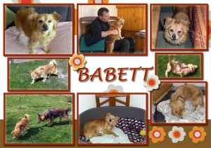 Babett