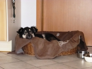 SPENCER_01
