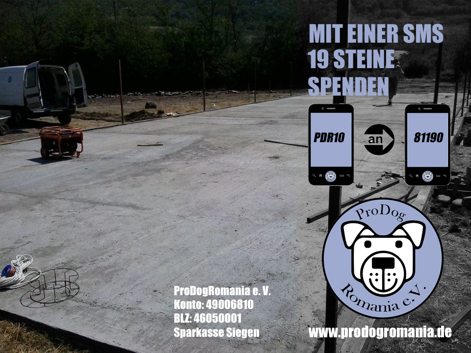 SMSstein2