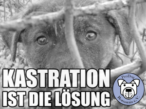 kastration