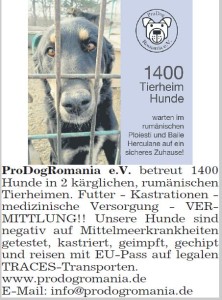 tz_münchen_130614