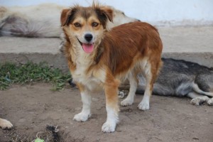 Trudy5