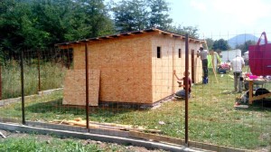 Bau_rene1