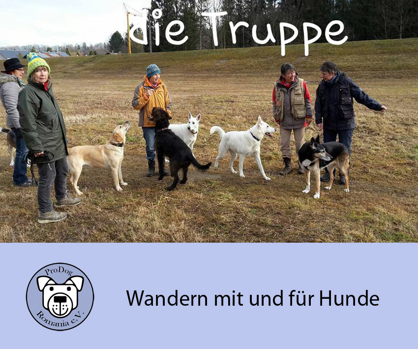 wandern Kopie