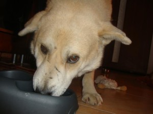 grasu2