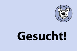 gesucht Kopie