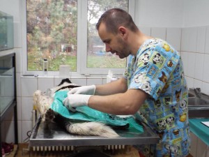 15420819_1333818856690302_2177787439117375983_n