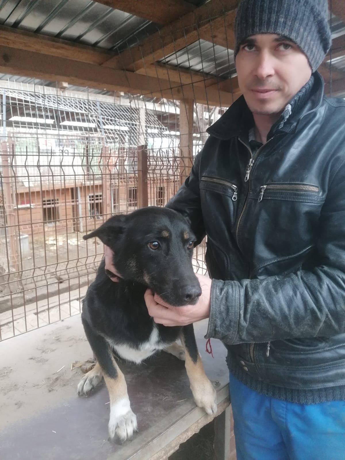 NEWTON - reserviert 4animals vermittelt – Bild 9