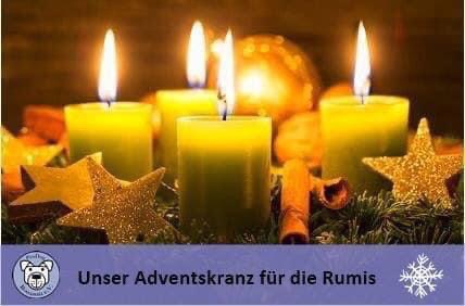 4. Adventswoche: ?️?️?️?️: ❤ für unsere Rumis