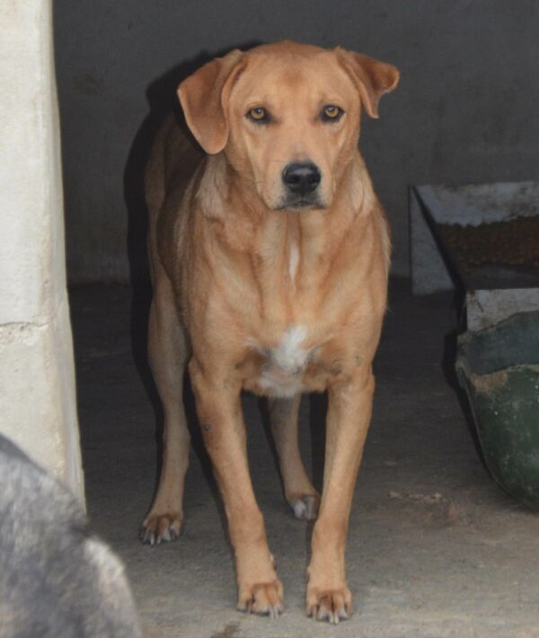 SPIKE  - RBB 04/23 – Bild 2