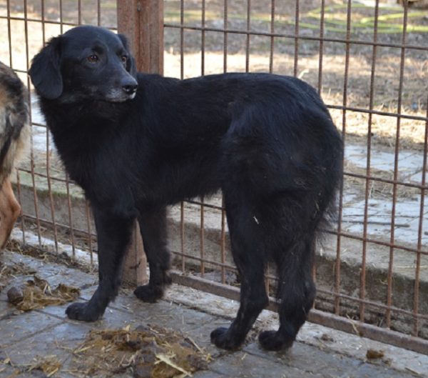 JOLIE (HEIDI) - RBB – Bild 4