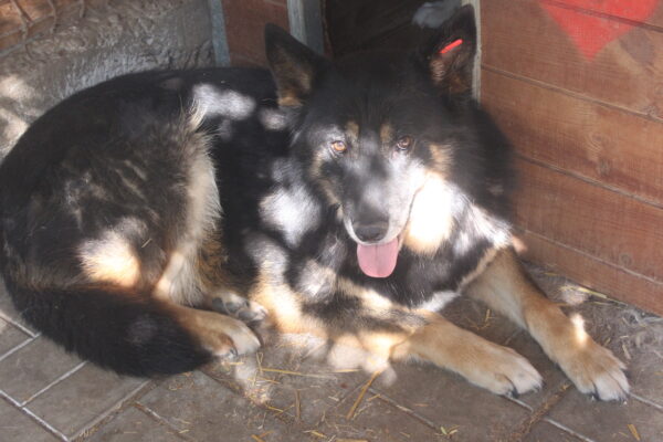 ALIKA – Bild 5