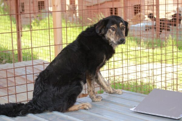 THEA (♀) – Bild 4