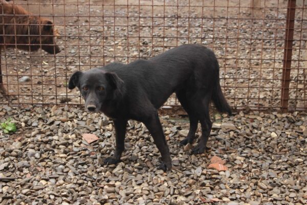 IDA (♀) – Bild 2