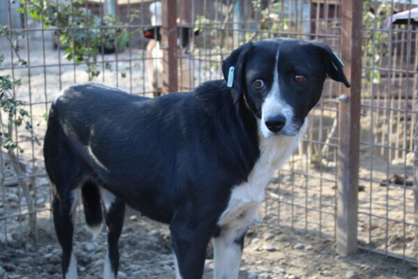 JUNA (♀) – Bild 5
