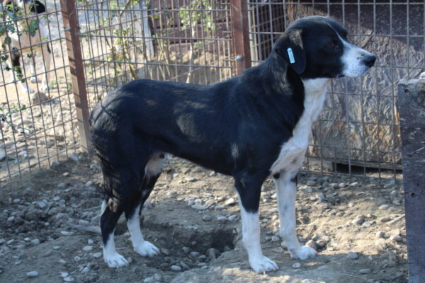 JUNA (♀) – Bild 6