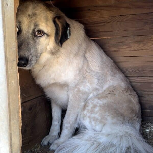 DONNA (♀) – Bild 3
