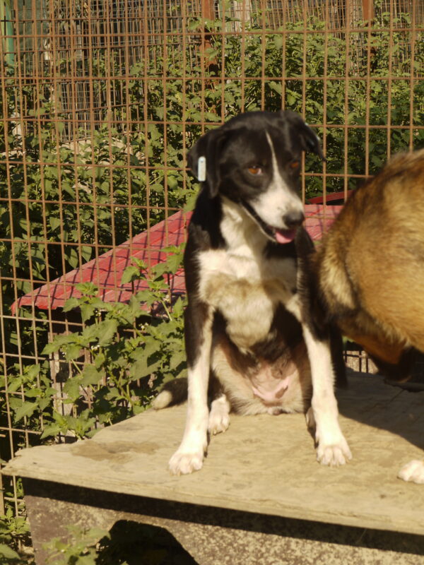 JUNA (♀) – Bild 8