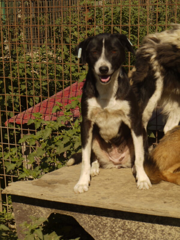 JUNA (♀) – Bild 7