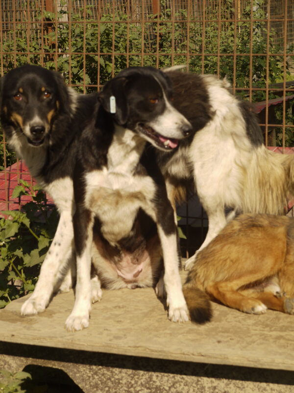 JUNA (♀) – Bild 9