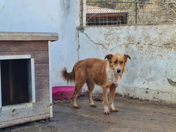 AURALIA (♀) – Bild 11