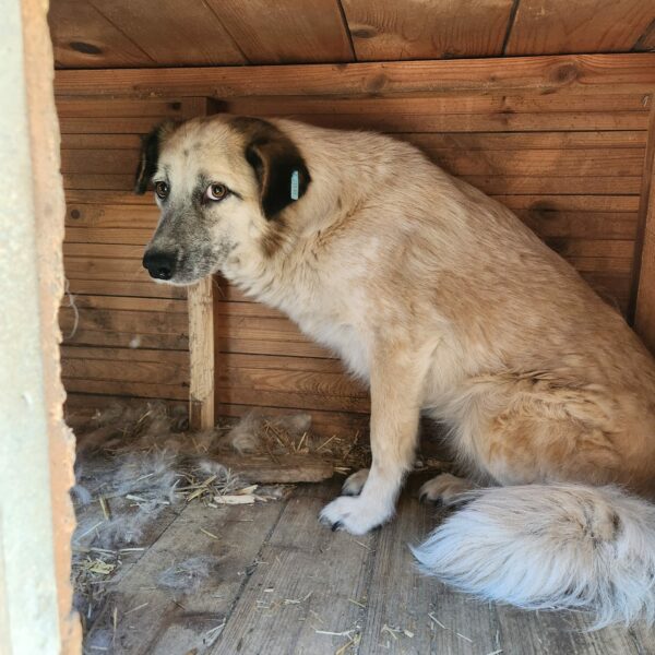 DONNA (♀) – Bild 5