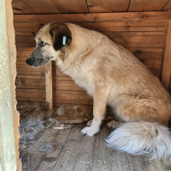 DONNA (♀) – Bild 6