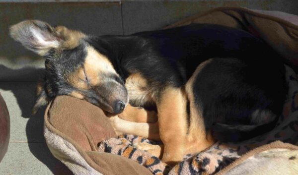 NIKA - RBB 10/2021 – Bild 8