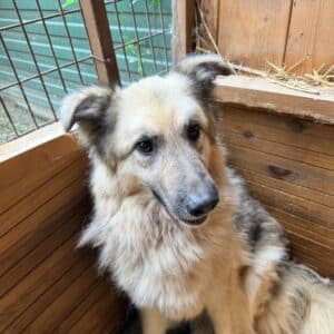 KIM (♀)