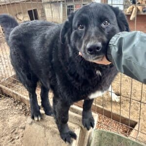 MARULA - seit mind. 2021 im Shelter