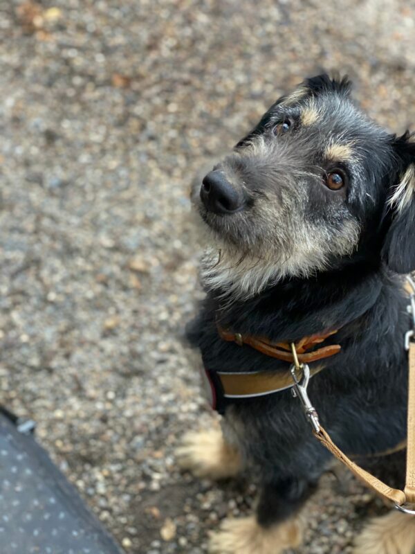 Peter in 53113 Bonn – Bild 3