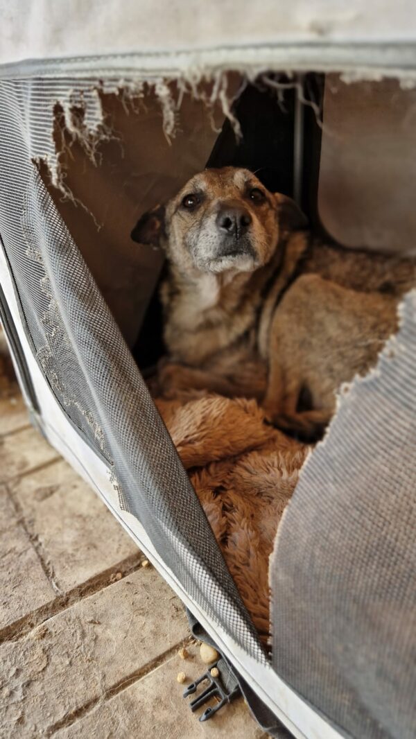 TOMTE - reserviert TH Wannigsmühle vermittelt – Bild 3