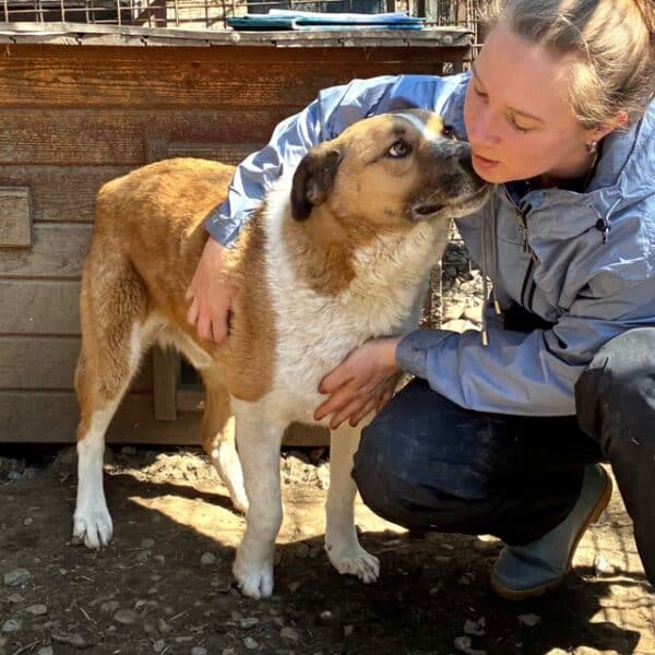 BARNEY (♂) - seit 2022 im Shelter – Bild 9