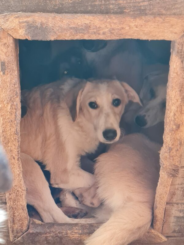 SALLY - RBB 02/24 – Bild 3