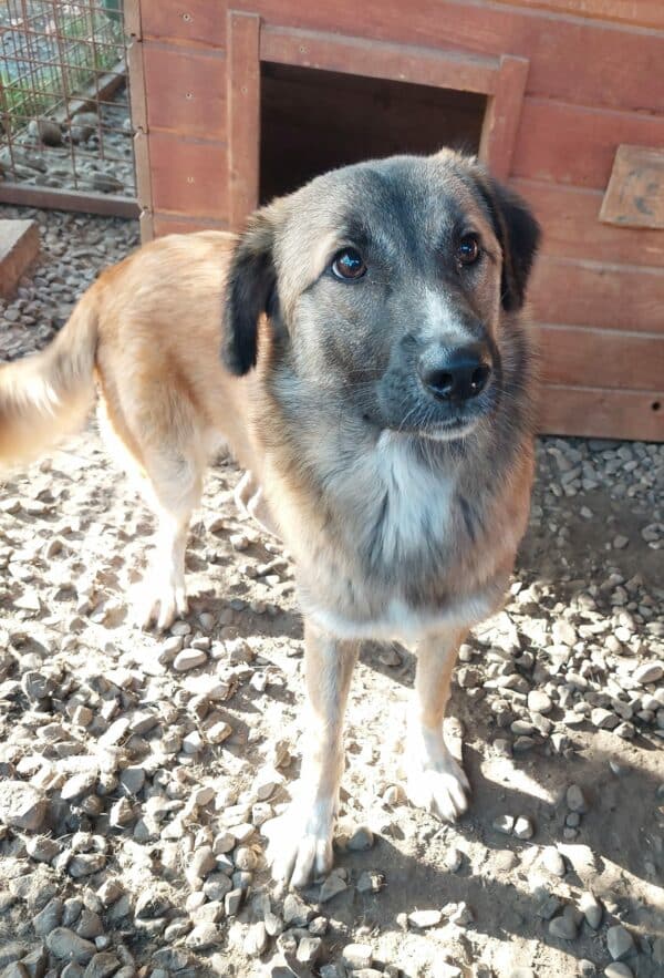 TAMY (*Piti) (♀) – Bild 12