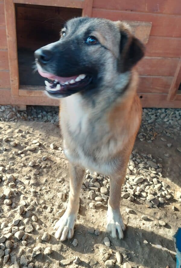 TAMY (*Piti) (♀) – Bild 13