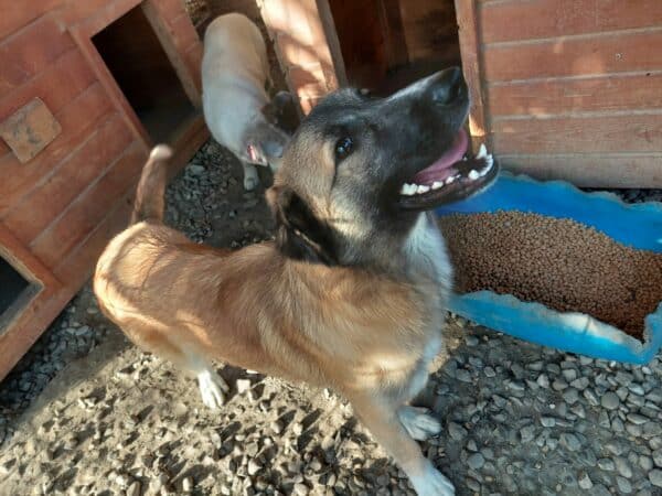 TAMY (*Piti) (♀) – Bild 14