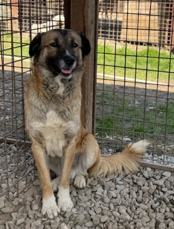 TAMY (*Piti) (♀) – Bild 5