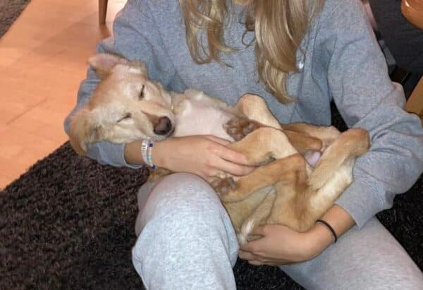 Mollie (*Hope) in 35469 Allendorf (Lumda) *vermittelt* – Bild 11