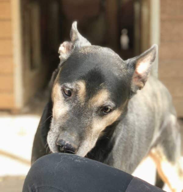 LANDO - RBB 02/25 – Bild 13