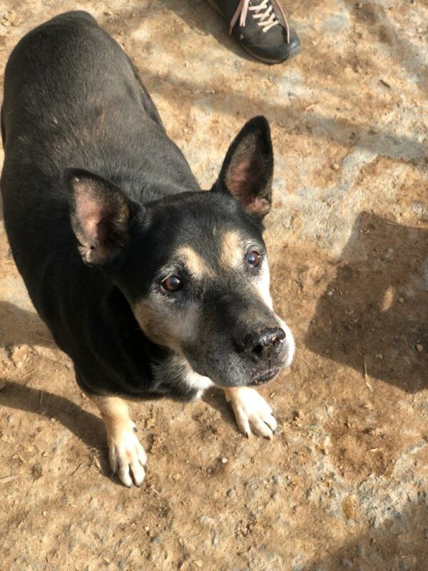 LANDO - RBB 02/25 – Bild 4