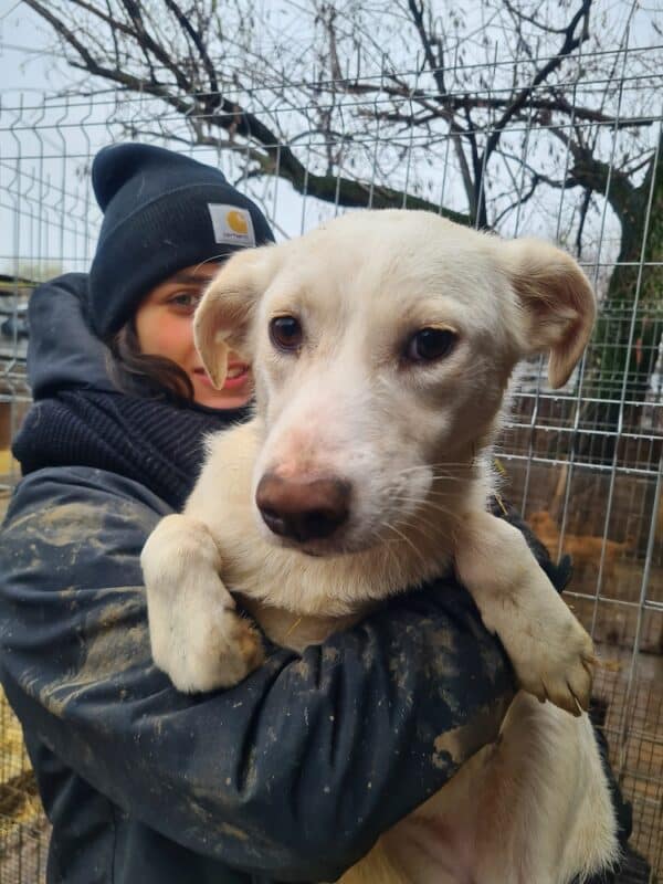 MISS ELLIE (♀) – Bild 4