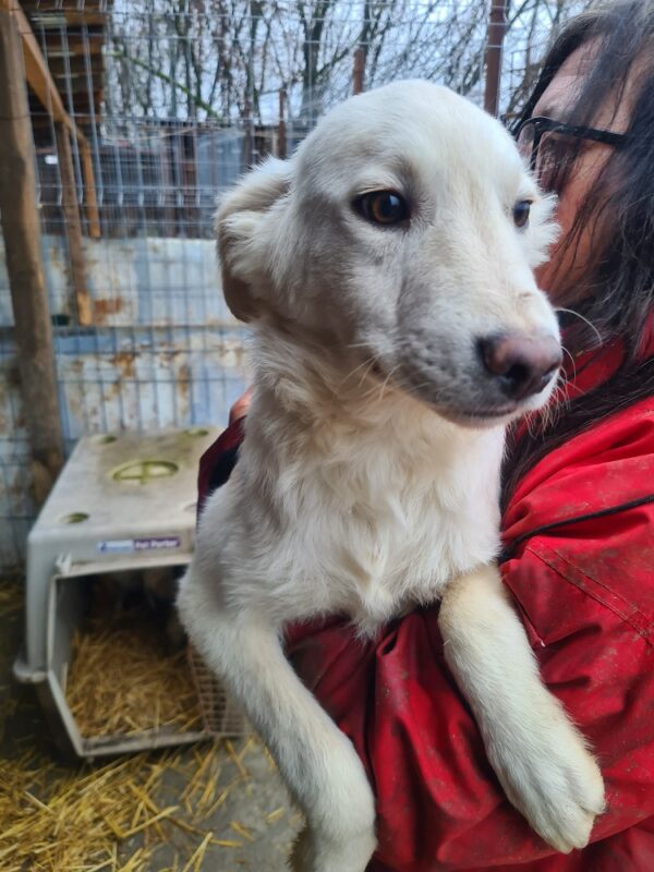 SAMY - vermittelt Betty – Bild 4