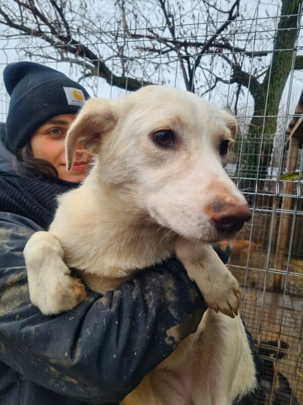 MISS ELLIE (♀) – Bild 5