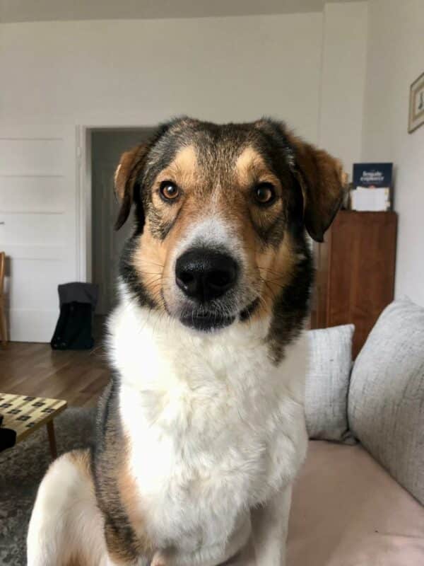 Keno in 10317 Berlin *vermittelt* – Bild 2