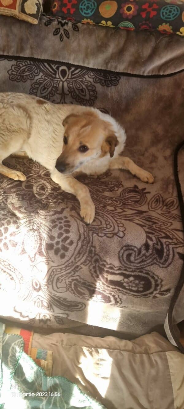 FREDA (*FLORI) (♀) – Bild 6