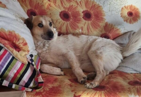 FREDA (*FLORI) (♀) – Bild 4