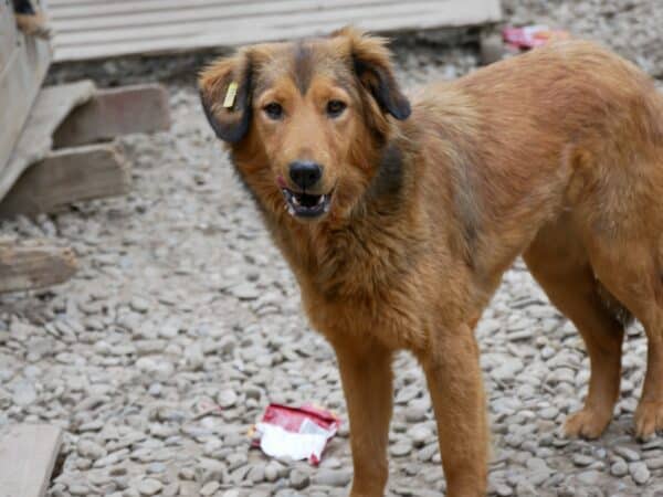 CLEO (♀) - baut stark ab – Bild 12