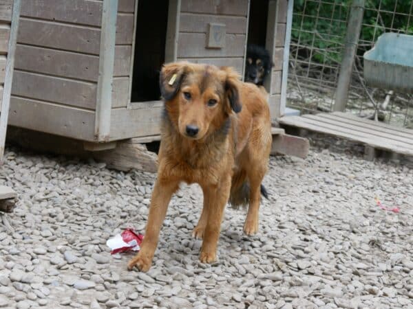 CLEO (♀) - baut stark ab – Bild 13