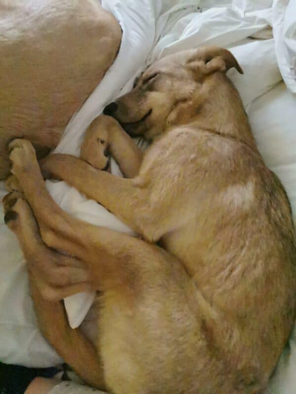 Lotti in 34474 Diemelstadt (ehm. Liu) - vermittelt – Bild 3